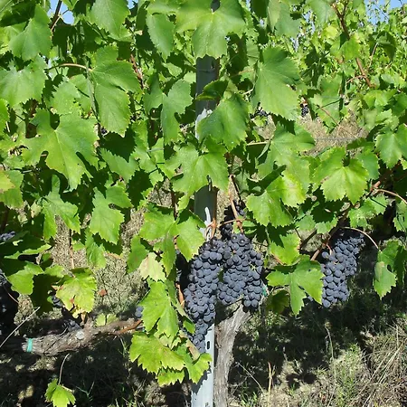 Belvilla By Oyo I Molinari Gualdo Cattaneo