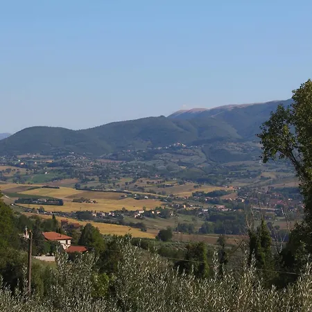 In Umbria Near Trasimeno *