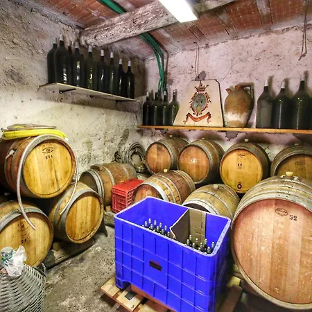 Ferienhaus In Umbria Near Trasimeno